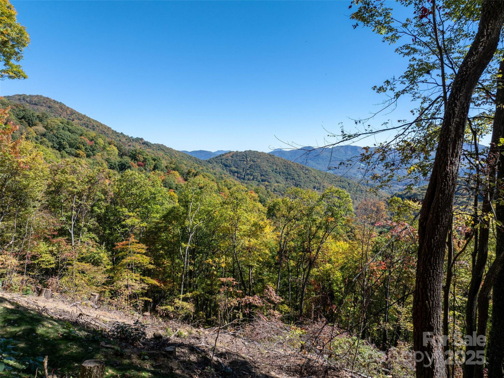 Lot 287 Running Deer Trail - Photo 15