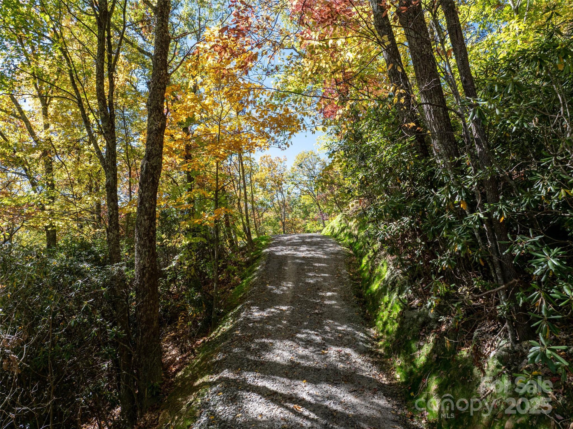 Lot 287 Running Deer Trail - Photo 16