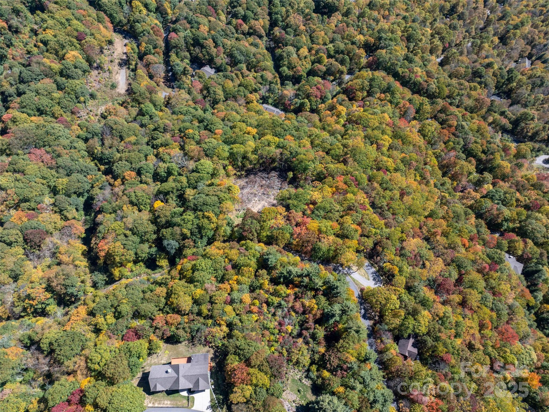 Lot 287 Running Deer Trail - Photo 18