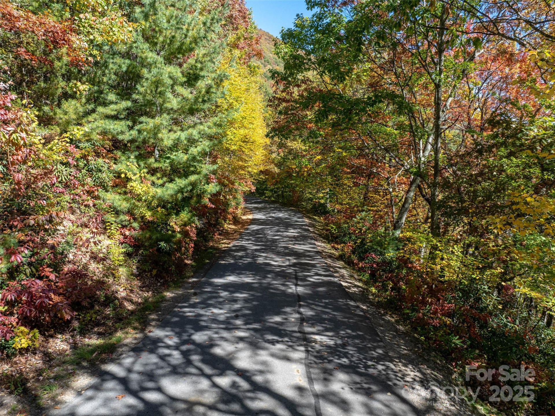 Lot 287 Running Deer Trail - Photo 20