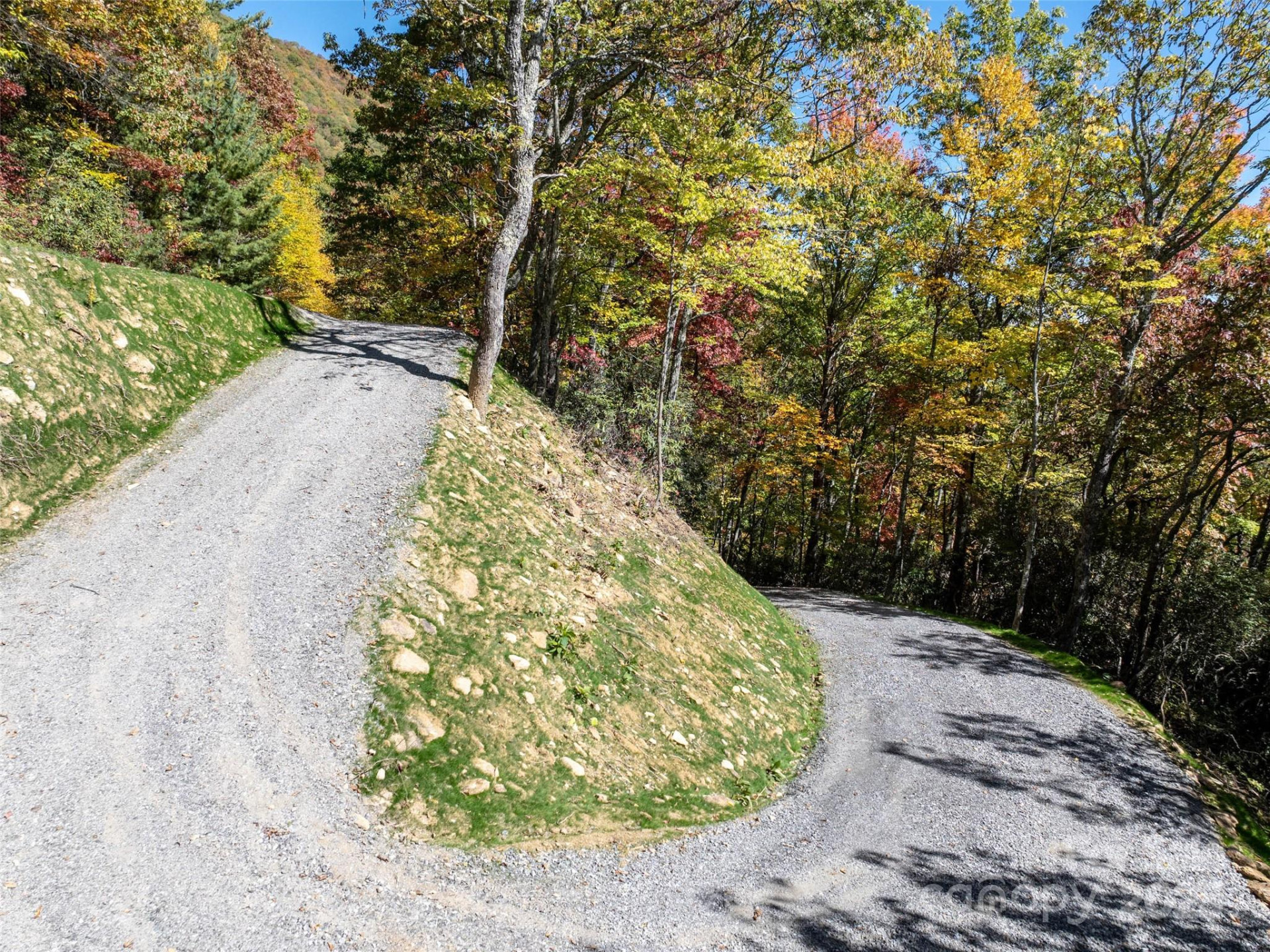 Lot 287 Running Deer Trail - Photo 3