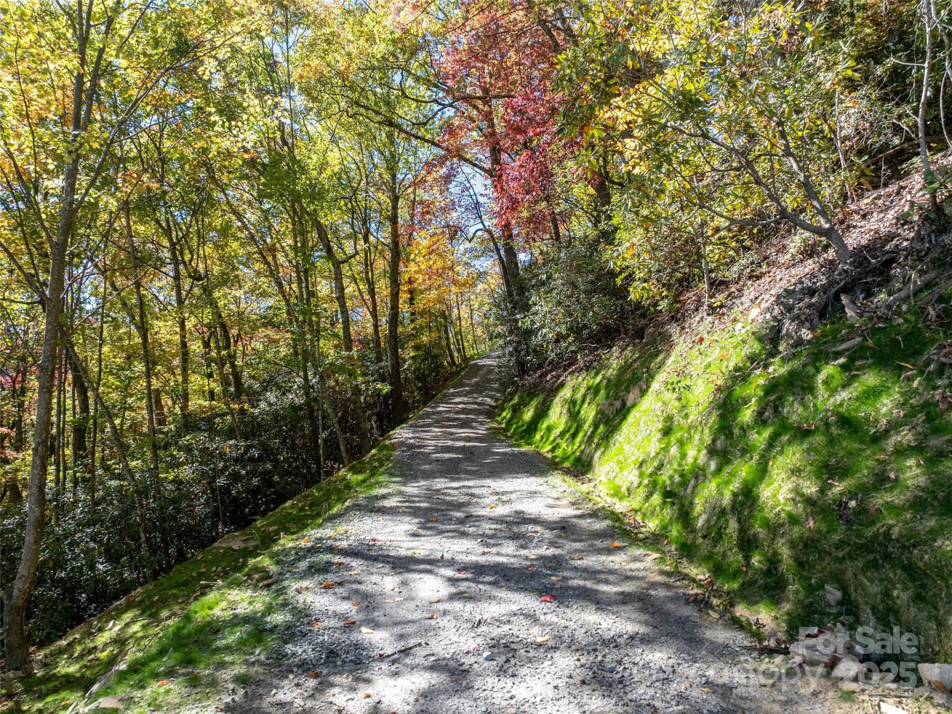 Lot 287 Running Deer Trail - Photo 7