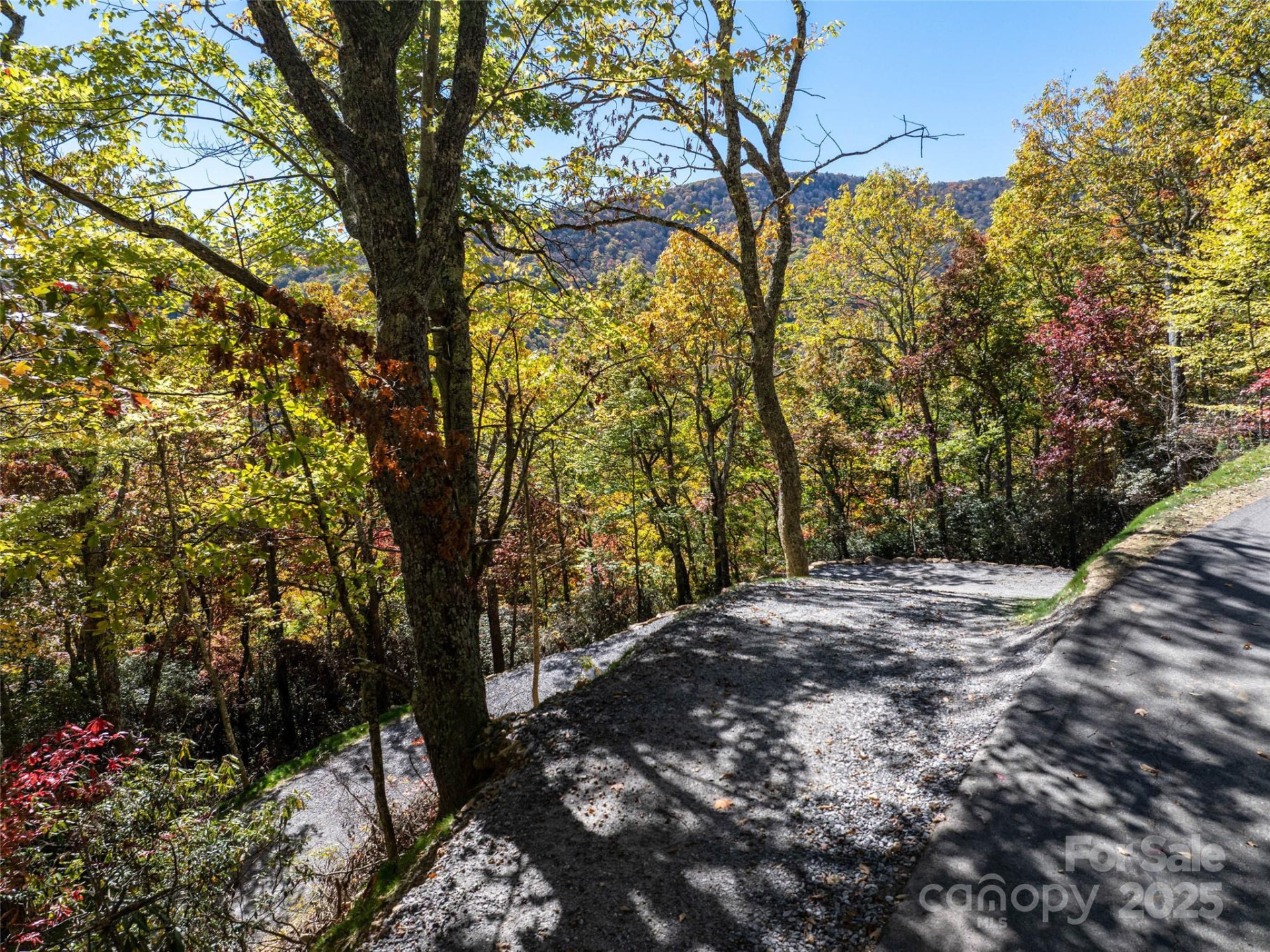 Lot 287 Running Deer Trail - Photo 10