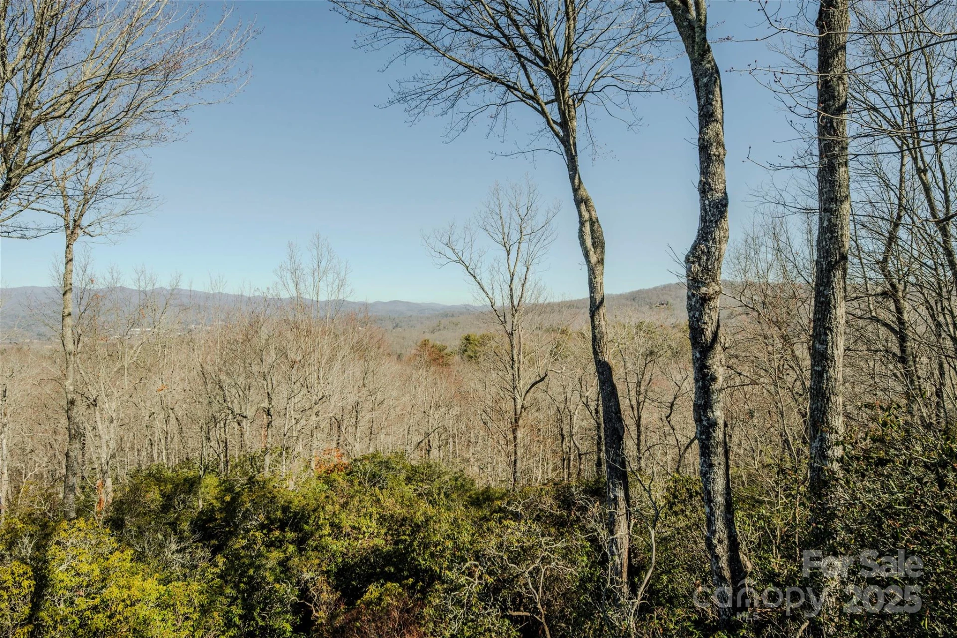 156 & 152 Tarah Lane - Photo 26