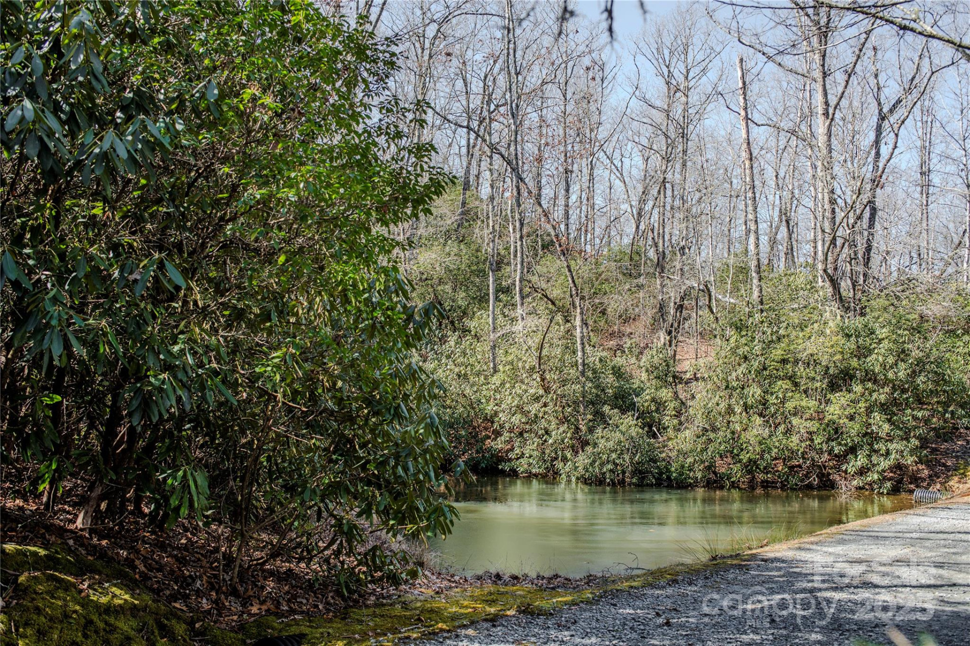 156 & 152 Tarah Lane - Photo 42