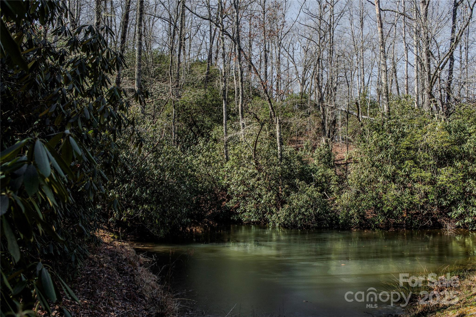 156 & 152 Tarah Lane - Photo 43