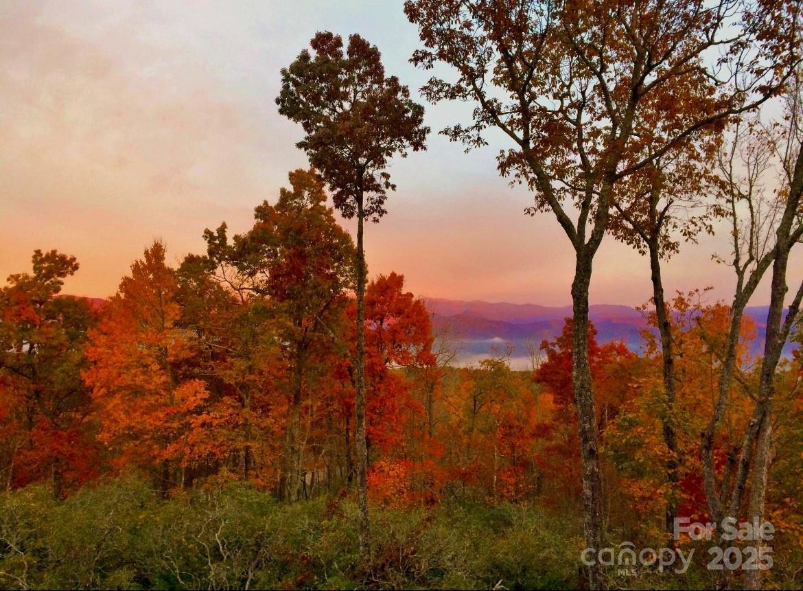 156 & 152 Tarah Lane - Photo 47