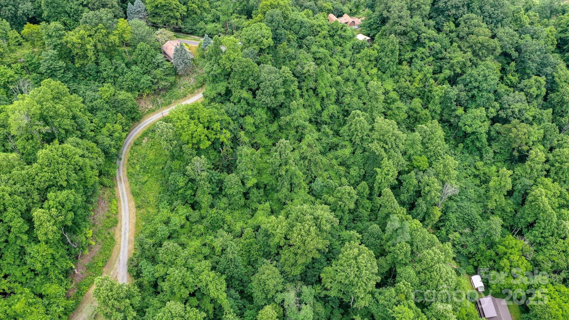 99999 Secluded Valley Road - Photo 12