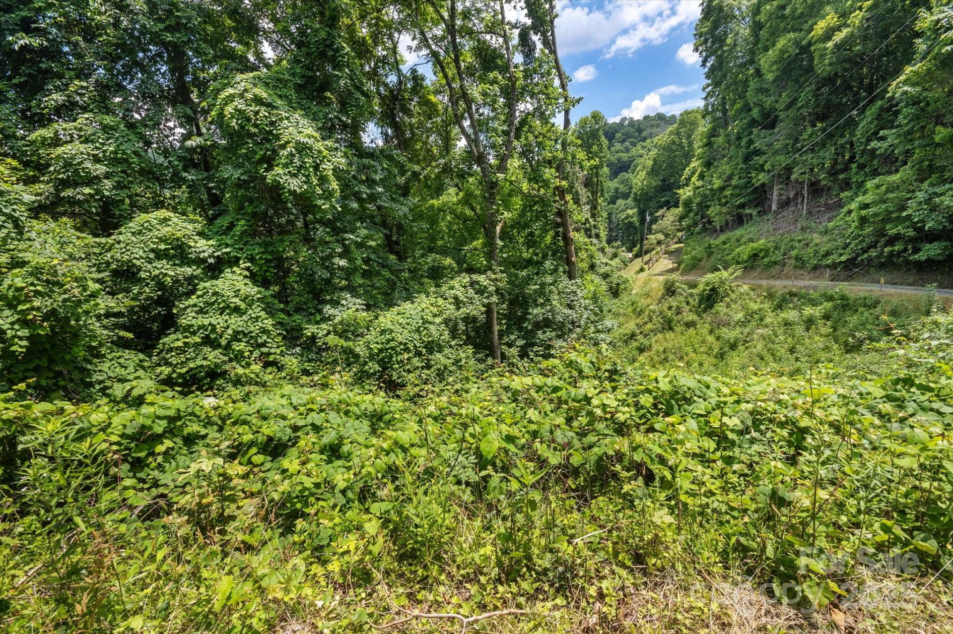 99999 Secluded Valley Road - Photo 13