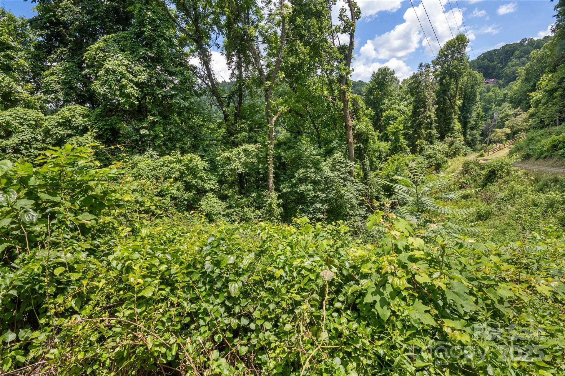 99999 Secluded Valley Road - Photo 14