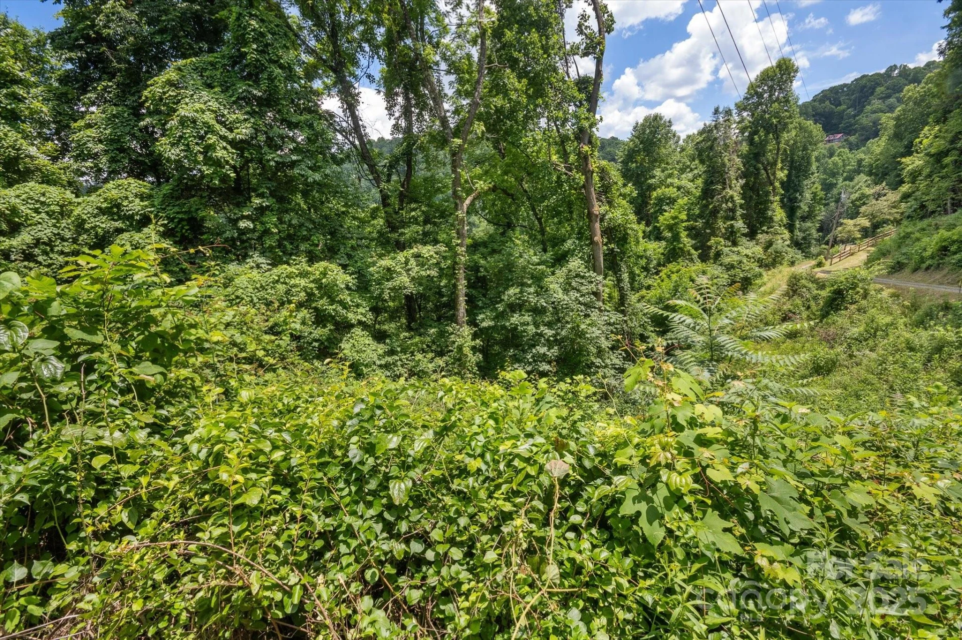 99999 Secluded Valley Road - Photo 14