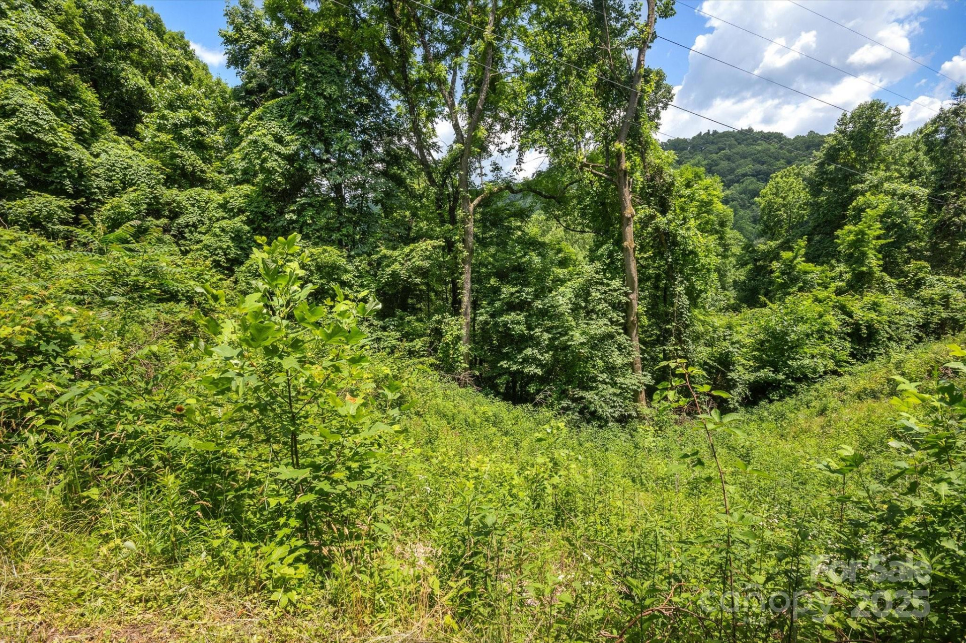 99999 Secluded Valley Road - Photo 15