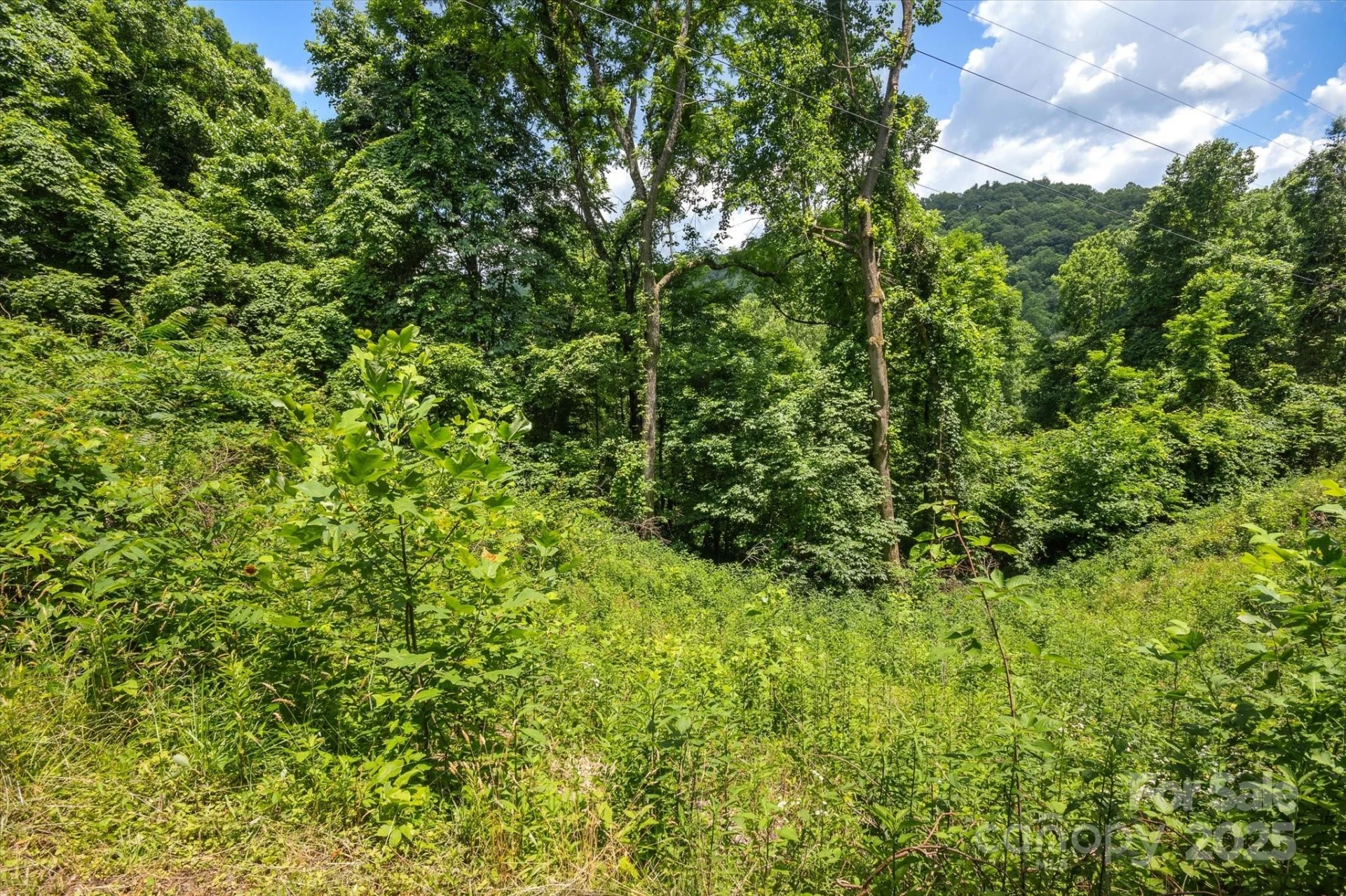 99999 Secluded Valley Road - Photo 15
