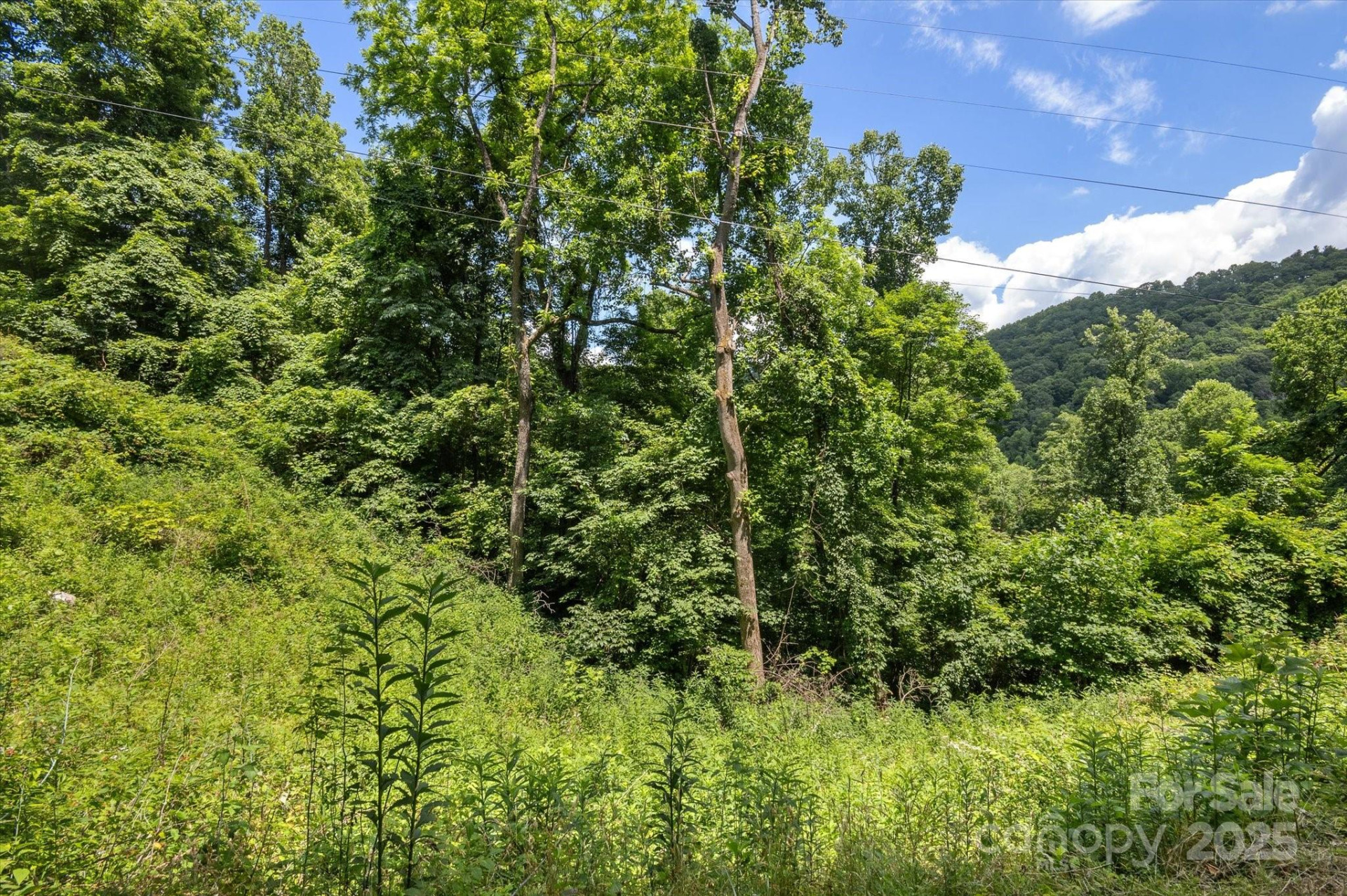 99999 Secluded Valley Road - Photo 16