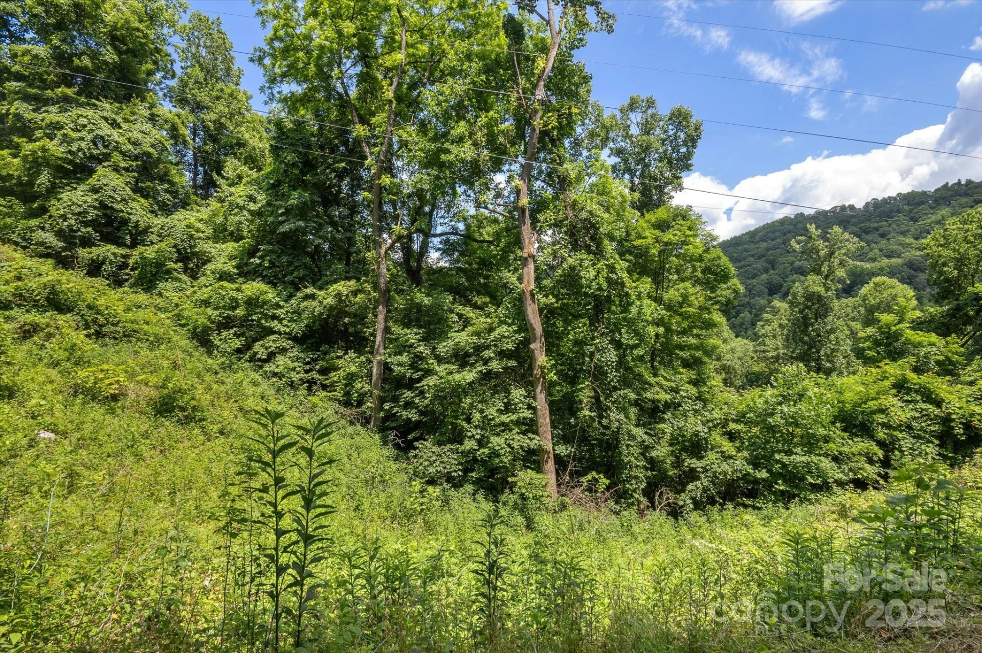 99999 Secluded Valley Road - Photo 16