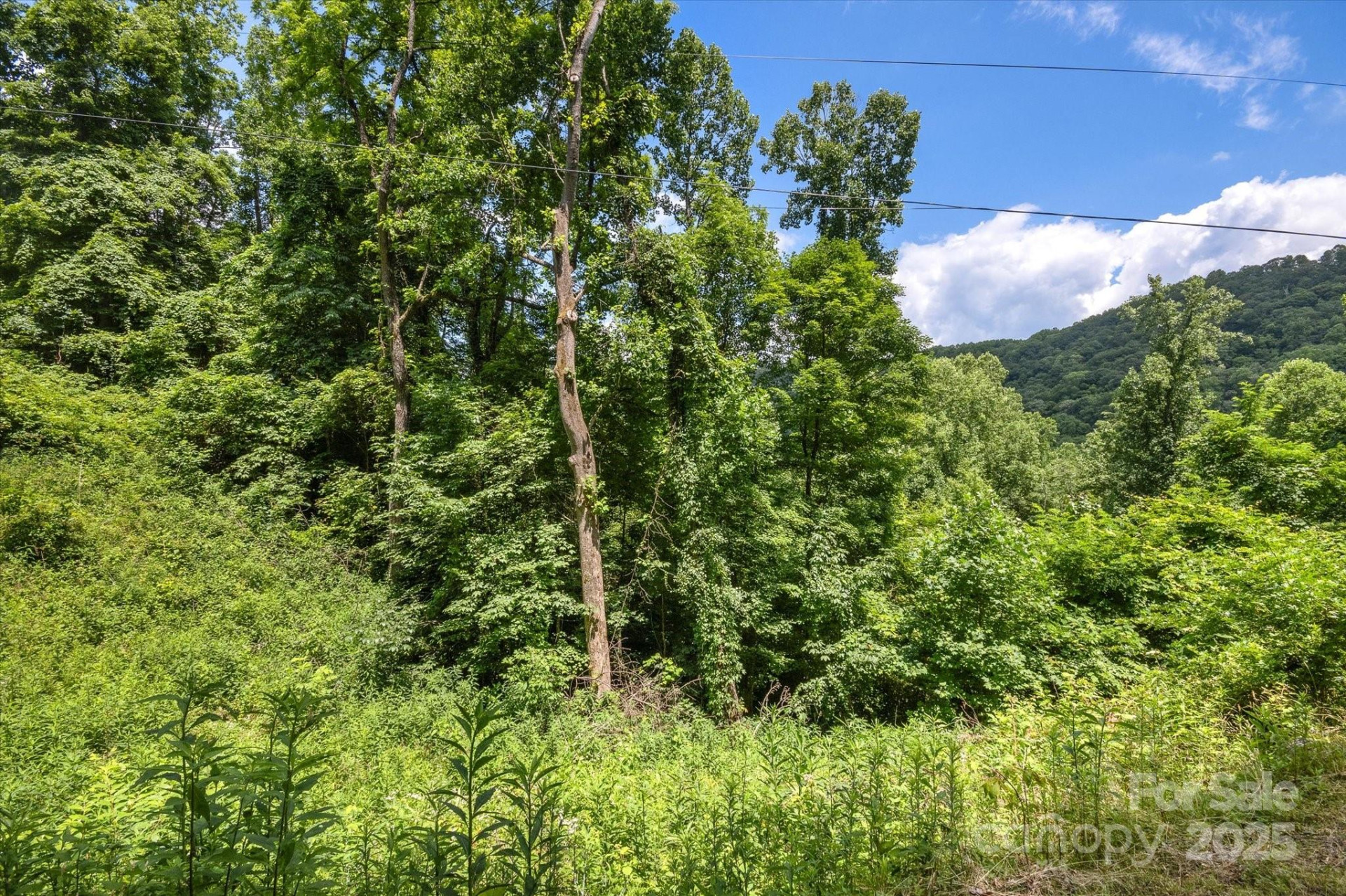 99999 Secluded Valley Road - Photo 17