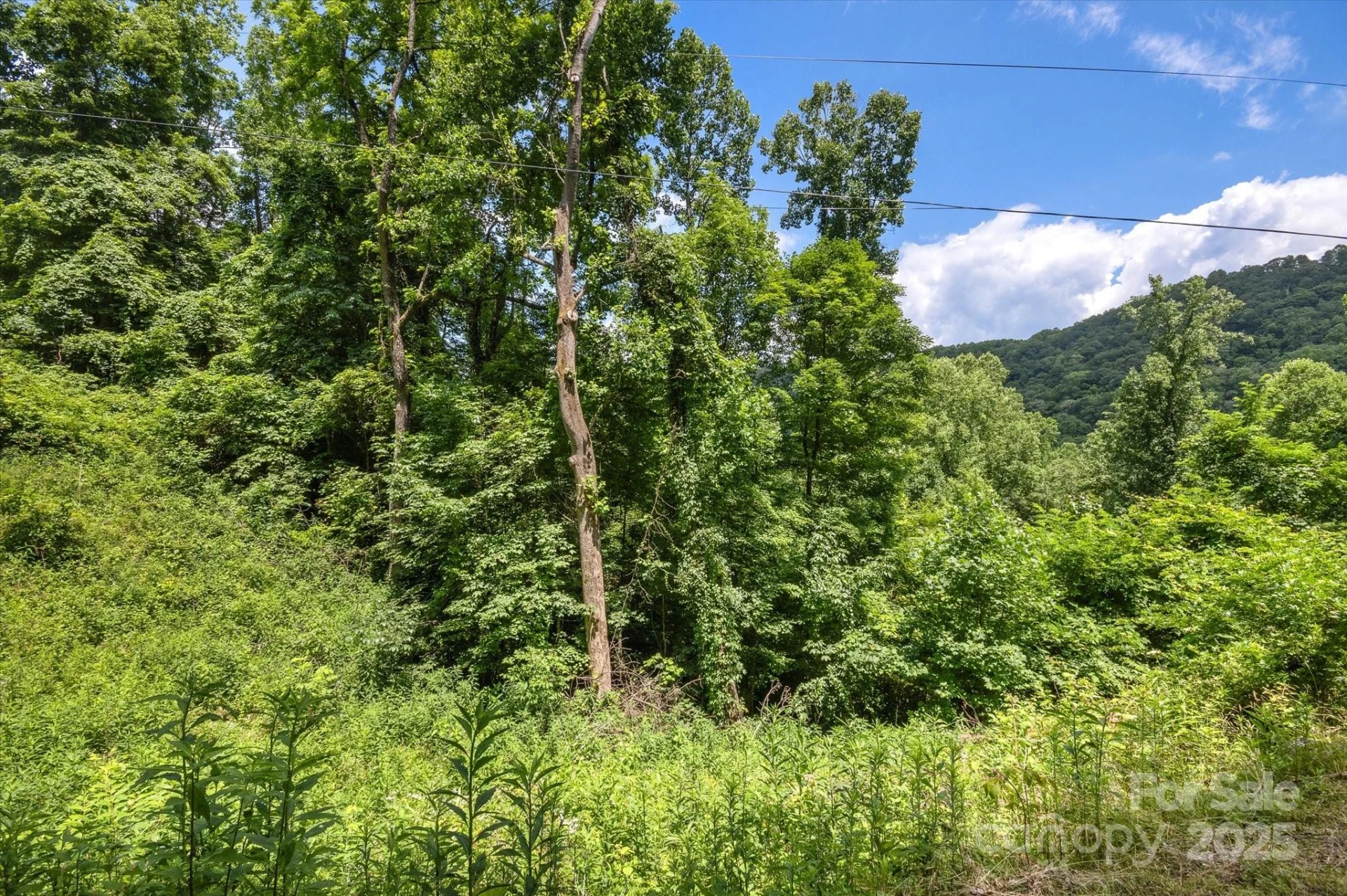 99999 Secluded Valley Road - Photo 17