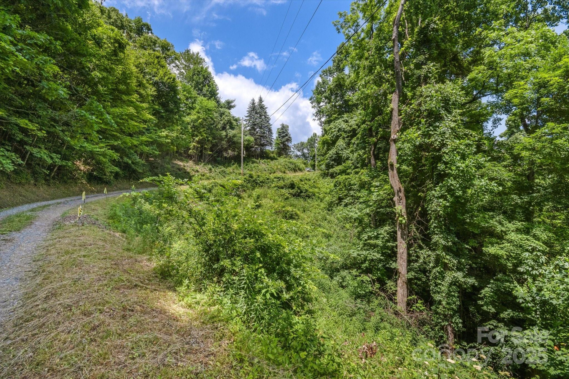 99999 Secluded Valley Road - Photo 18