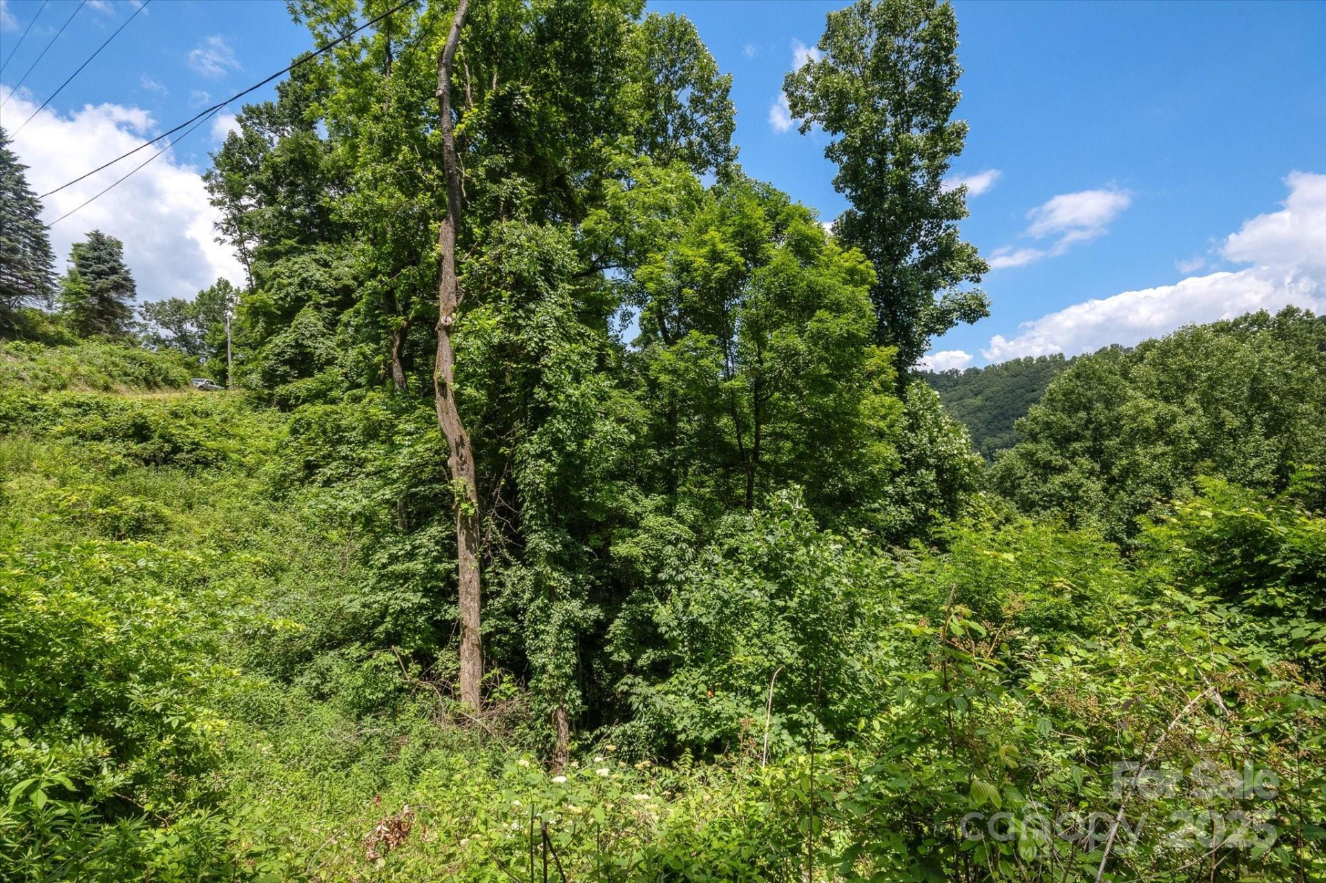 99999 Secluded Valley Road - Photo 19