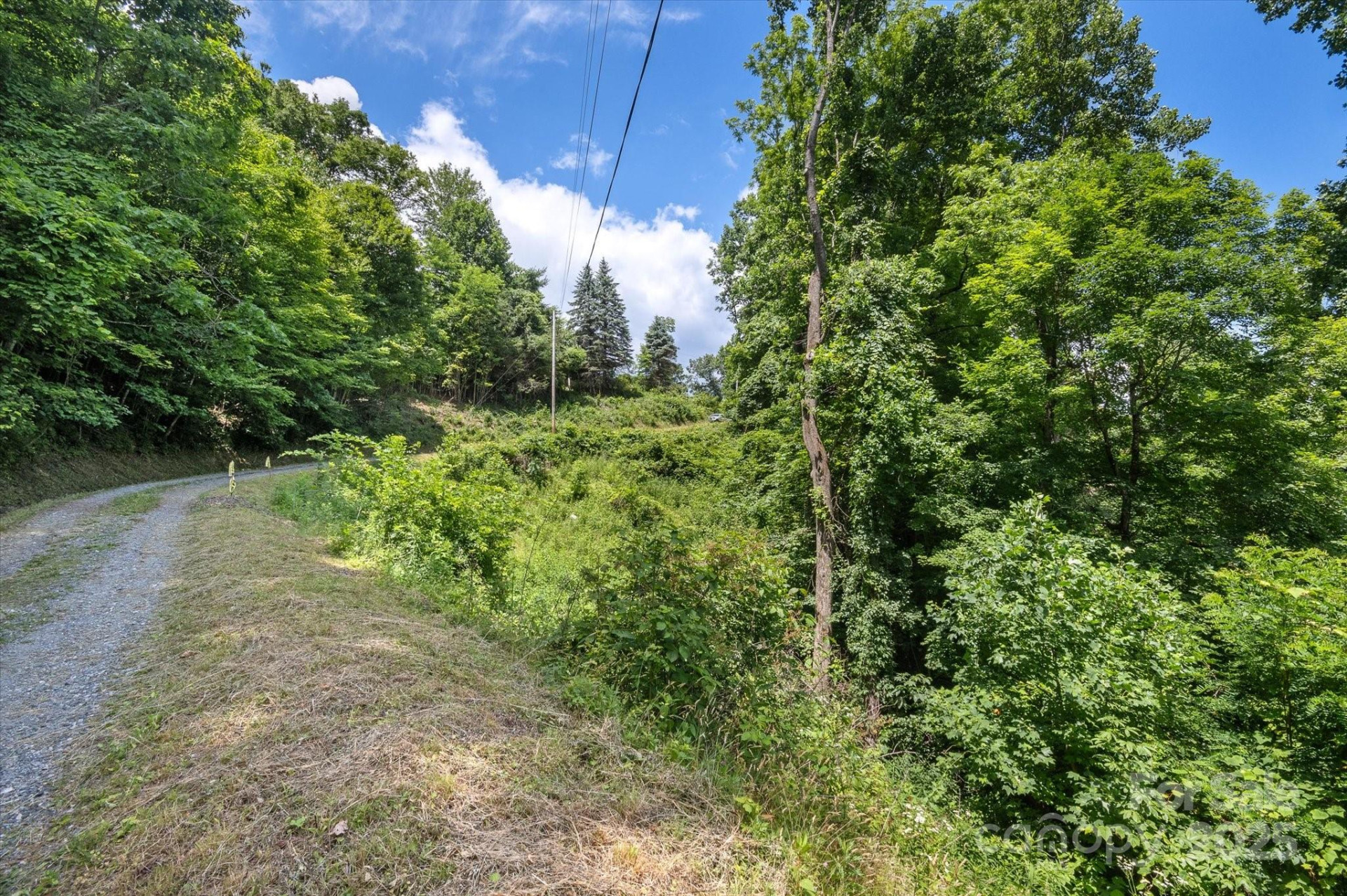 99999 Secluded Valley Road - Photo 20