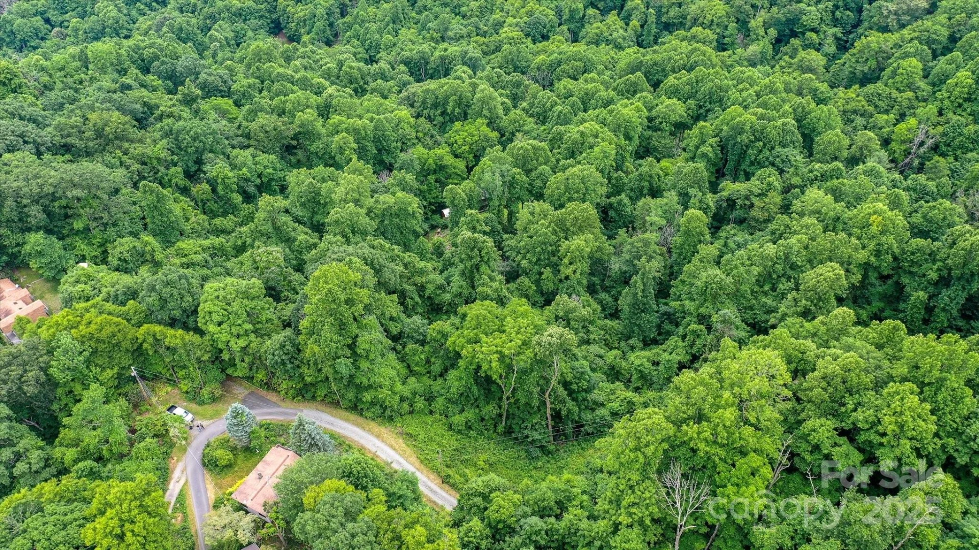 99999 Secluded Valley Road - Photo 6
