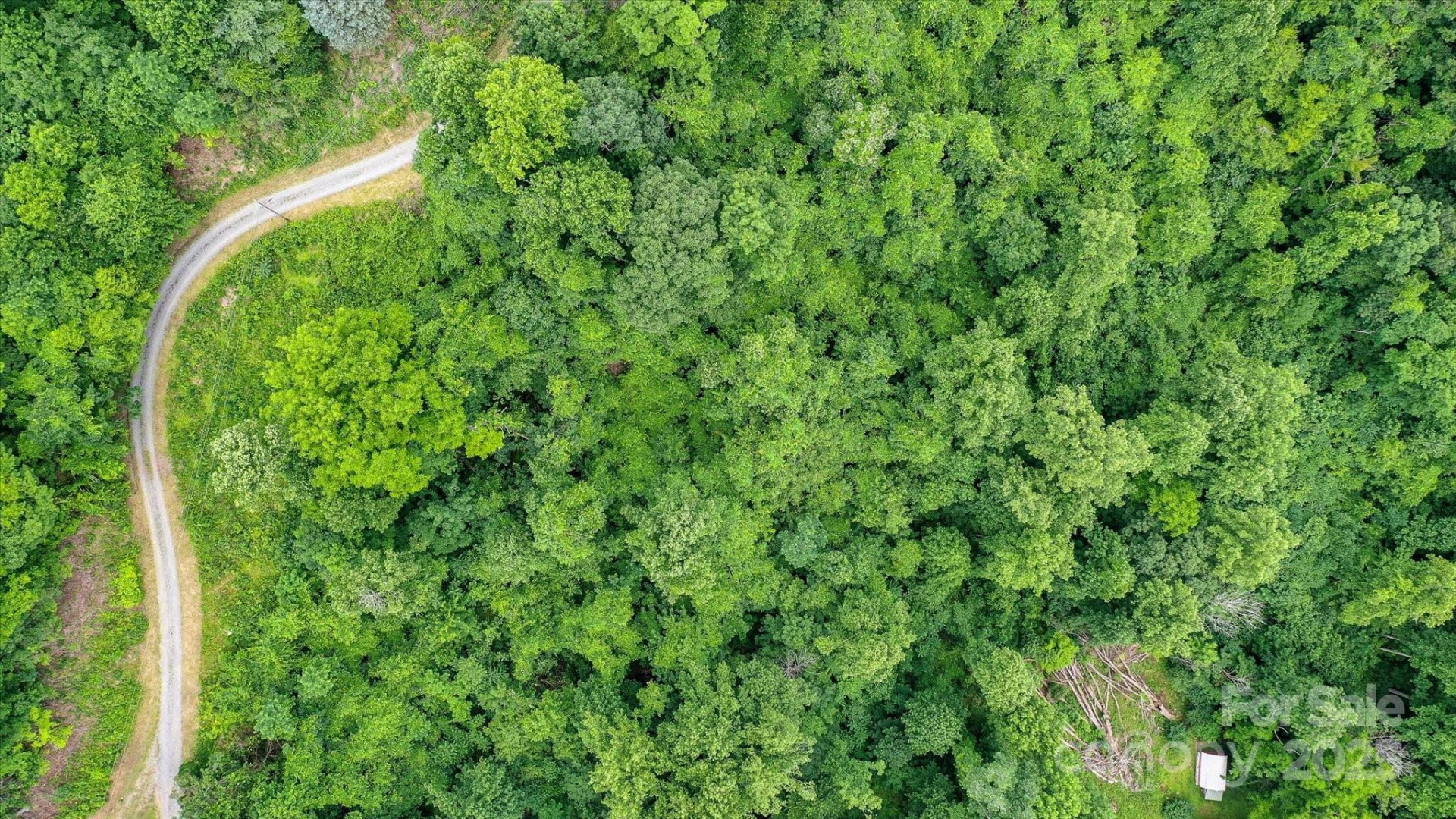 99999 Secluded Valley Road - Photo 8