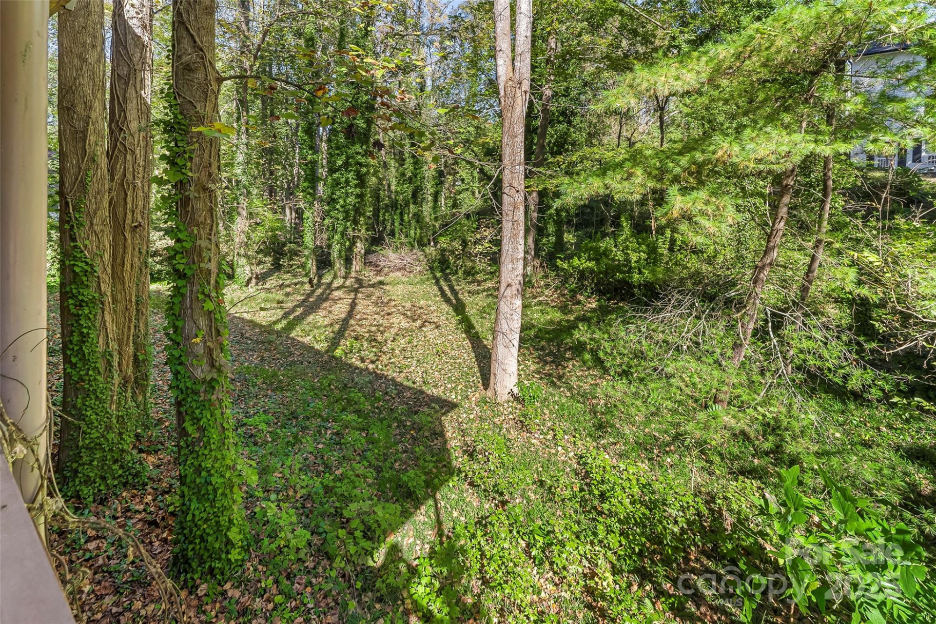 212 Riverside Drive - Photo 33