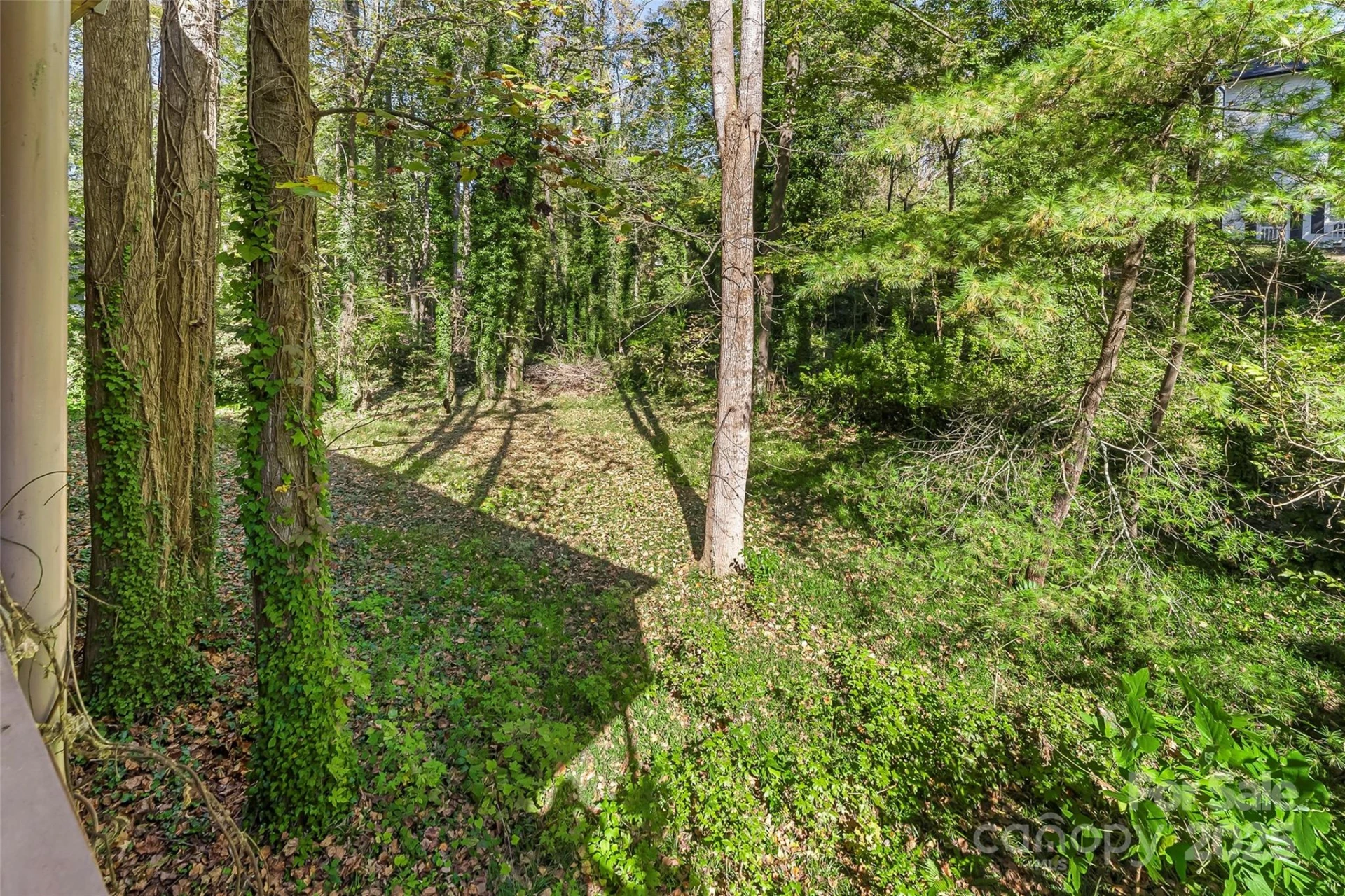 212 Riverside Drive - Photo 33