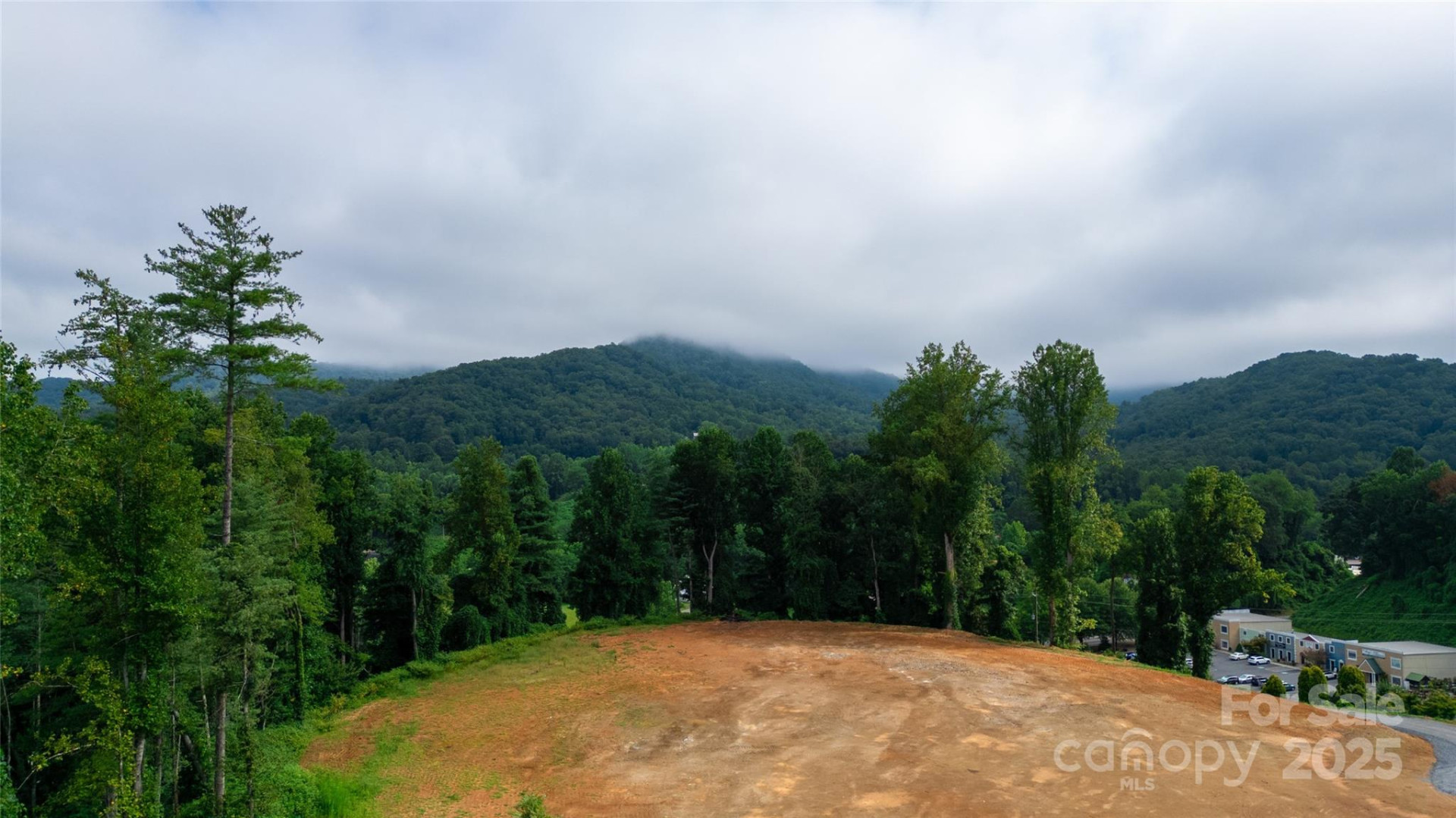 115 Haywood Road - Photo 25