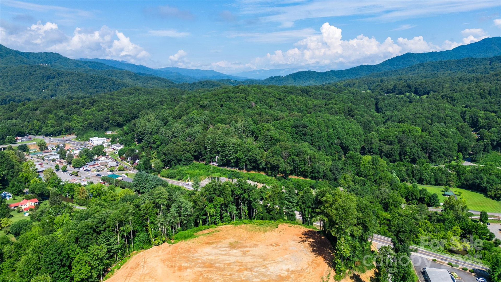 115 Haywood Road - Photo 5