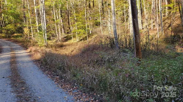 000 Cabin Hill Road, Green Mountain, NC, 28740
