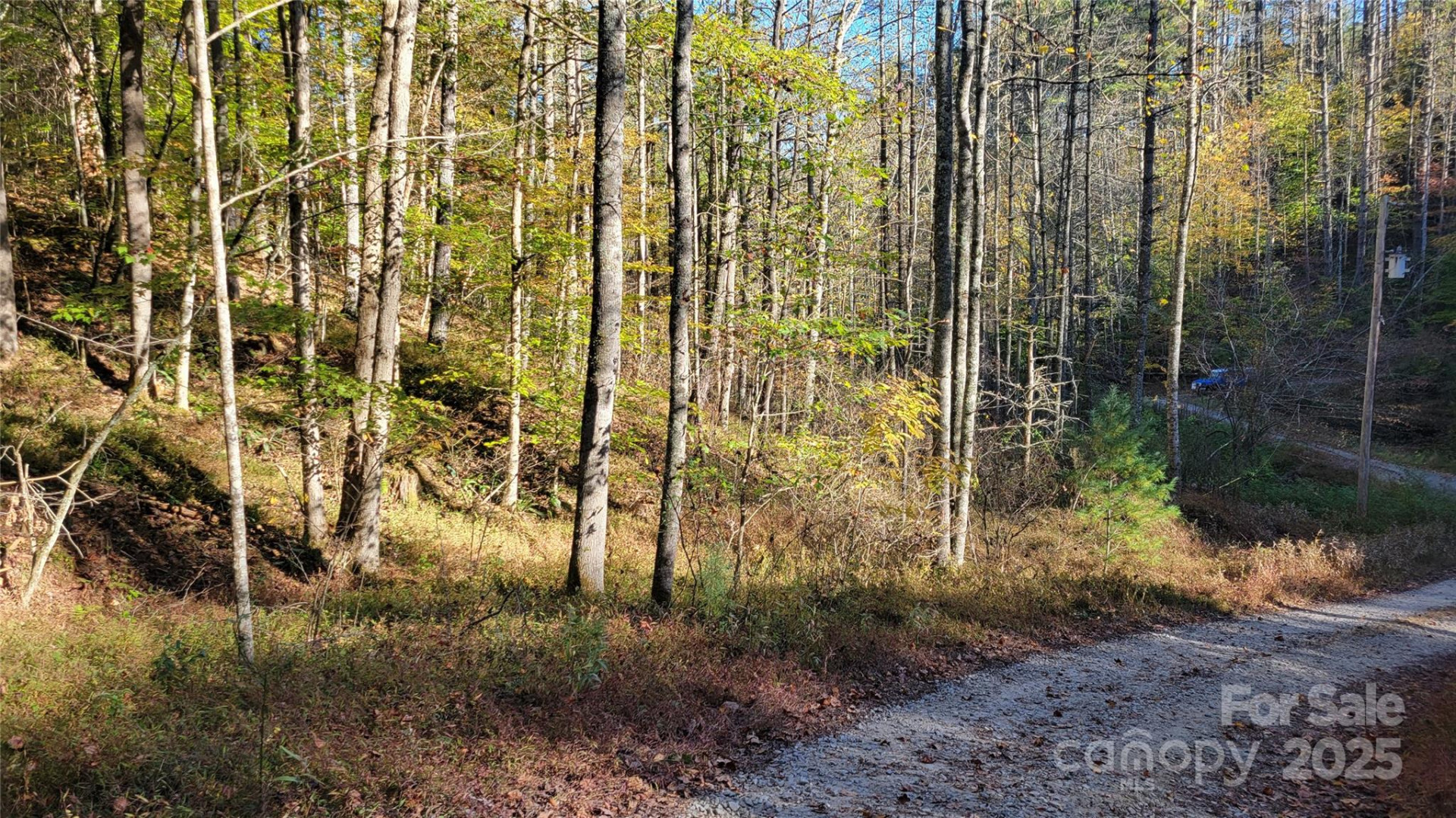 000 Cabin Hill Road - Photo 2