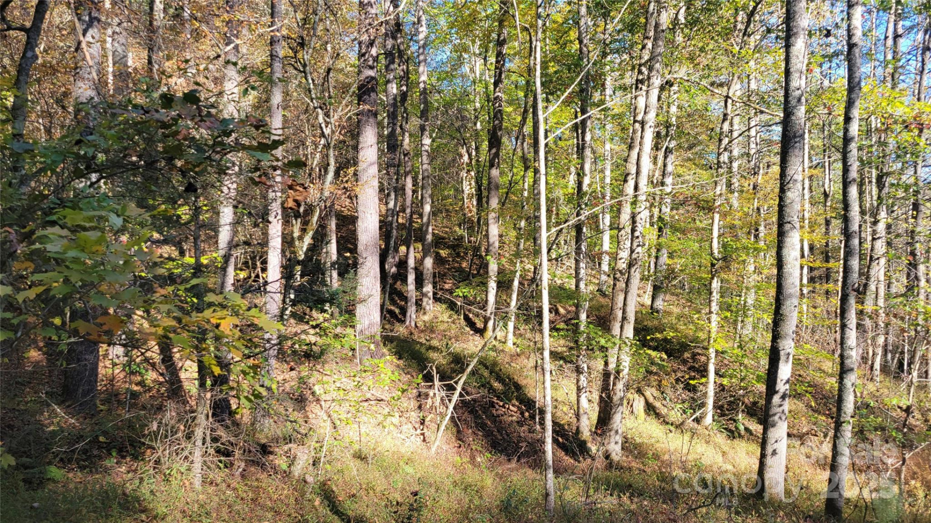 000 Cabin Hill Road - Photo 4