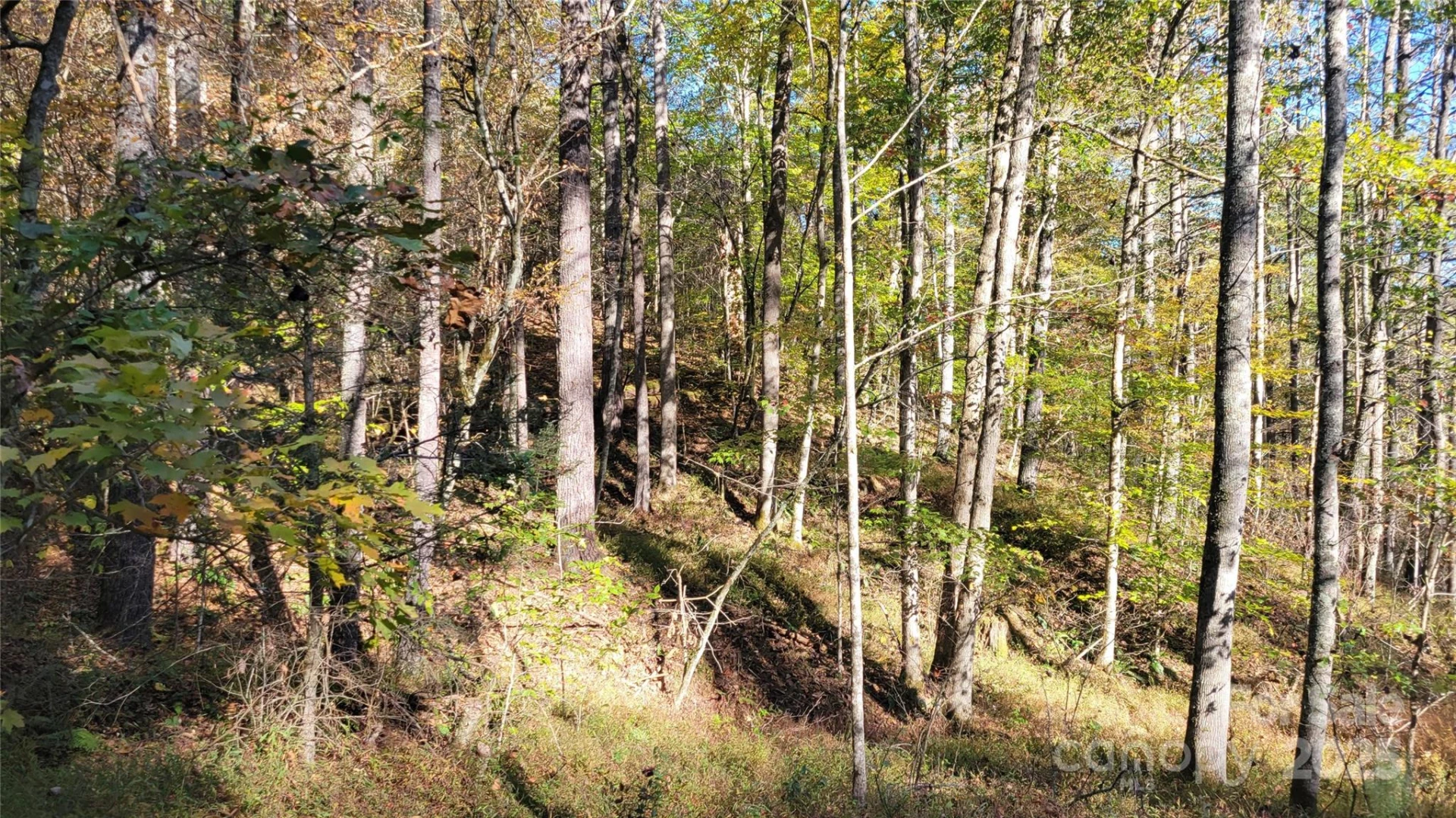 000 Cabin Hill Road - Photo 4