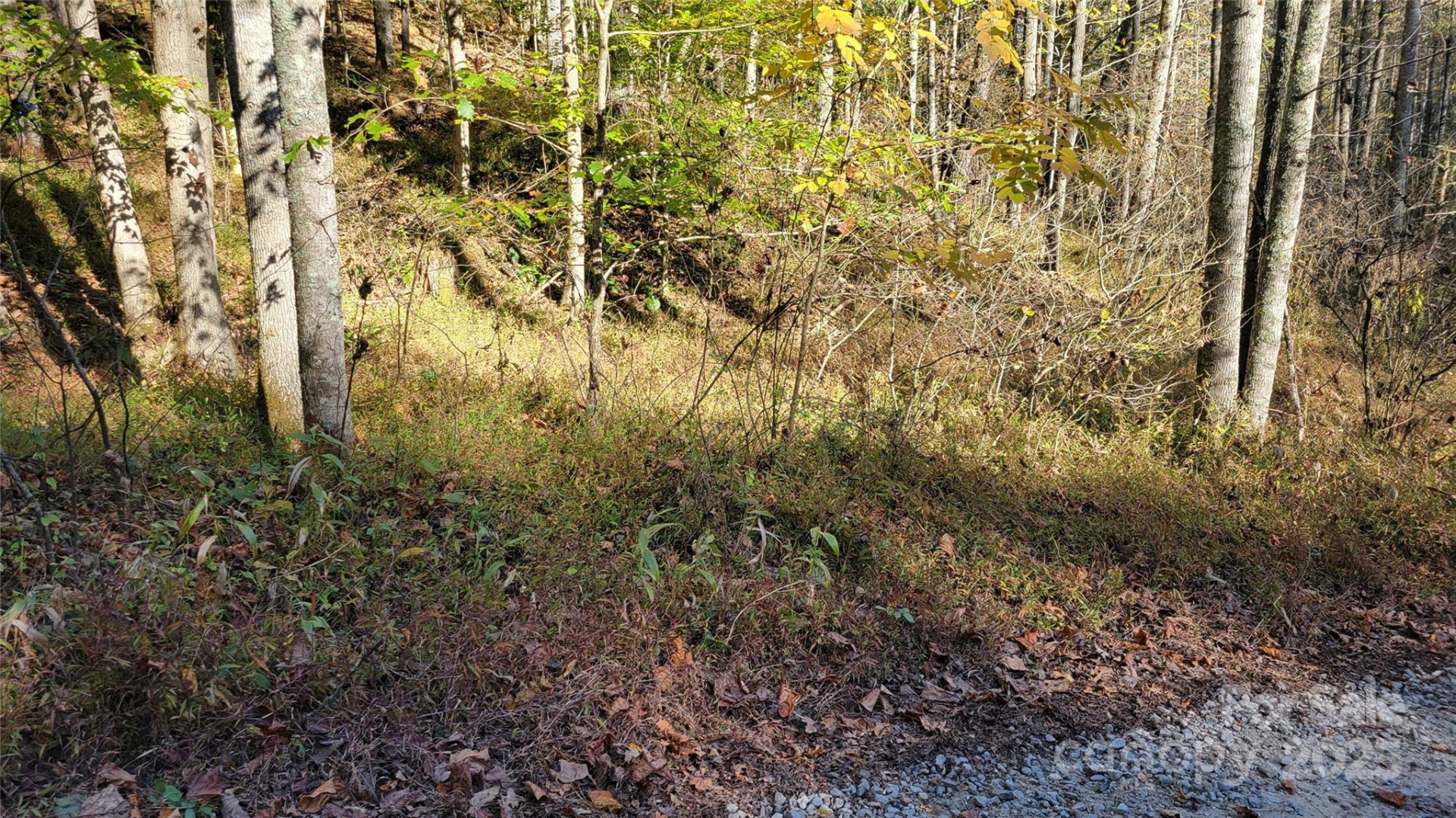 000 Cabin Hill Road - Photo 5