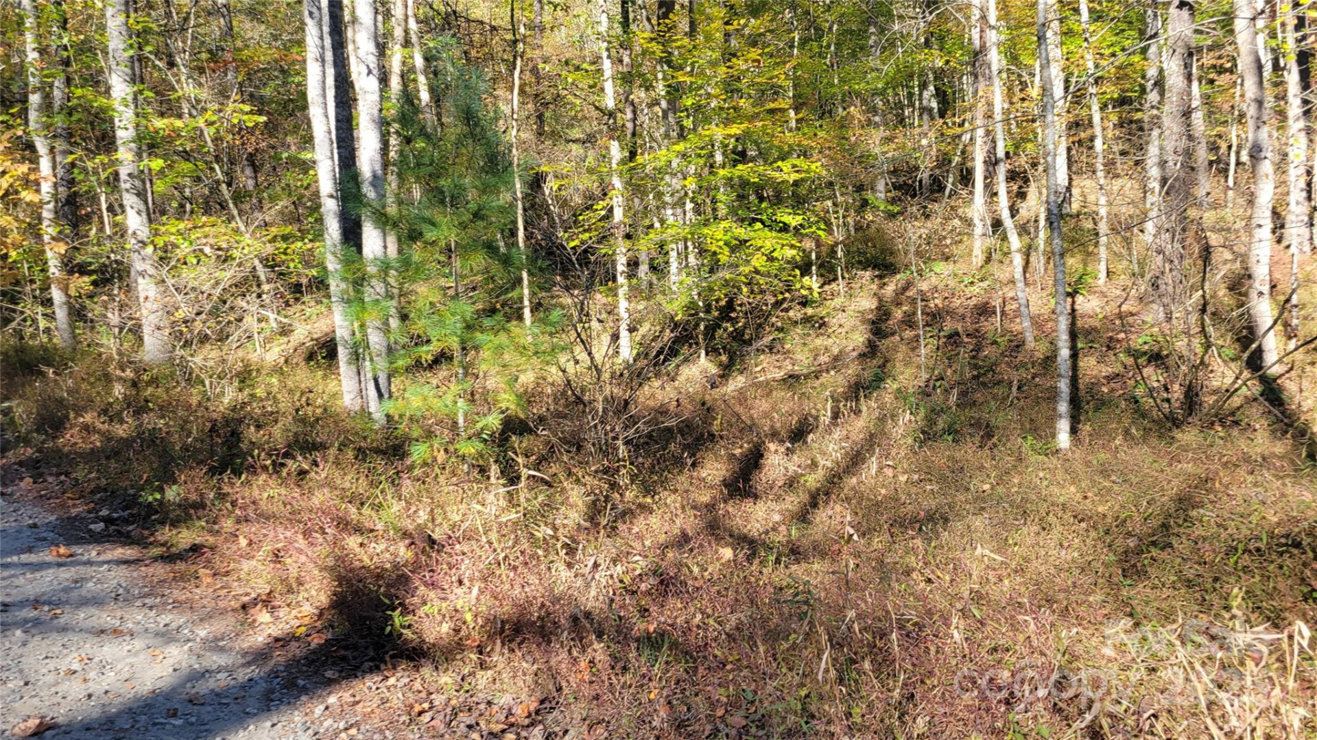 000 Cabin Hill Road - Photo 7