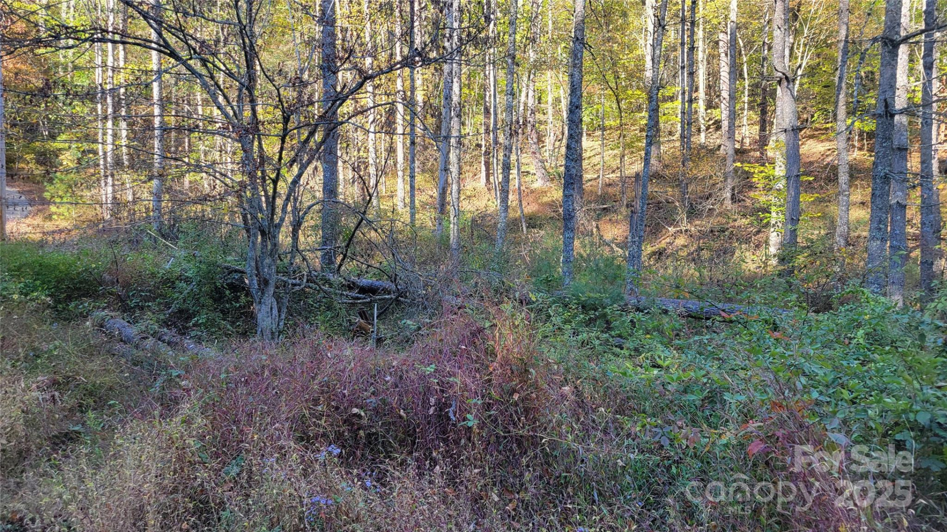 000 Cabin Hill Road - Photo 8