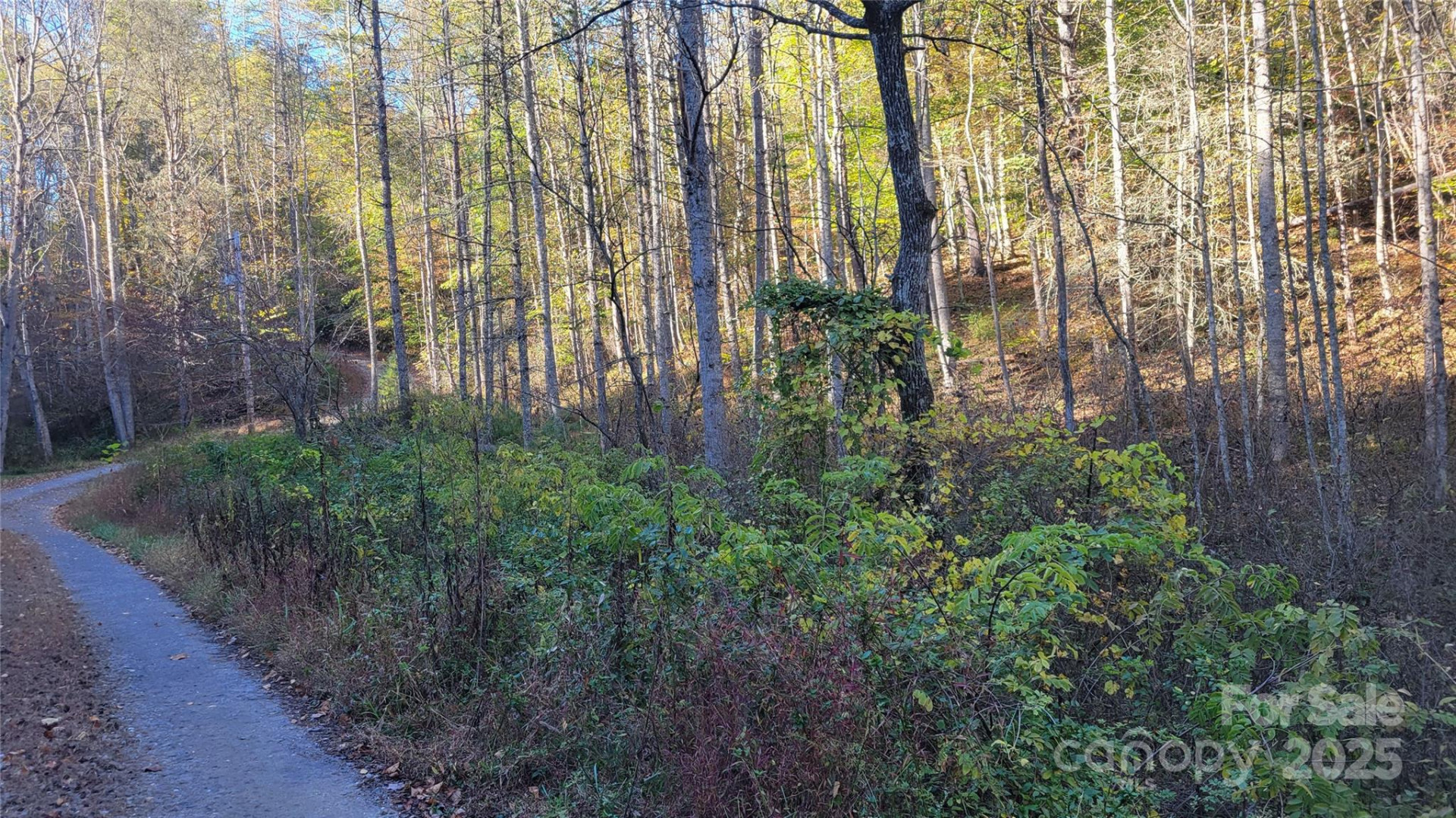 000 Cabin Hill Road - Photo 9