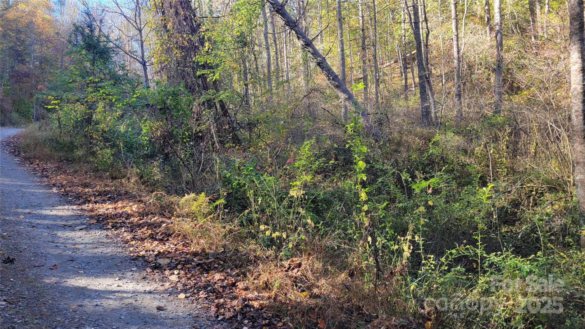 000 Cabin Hill Road - Photo 10