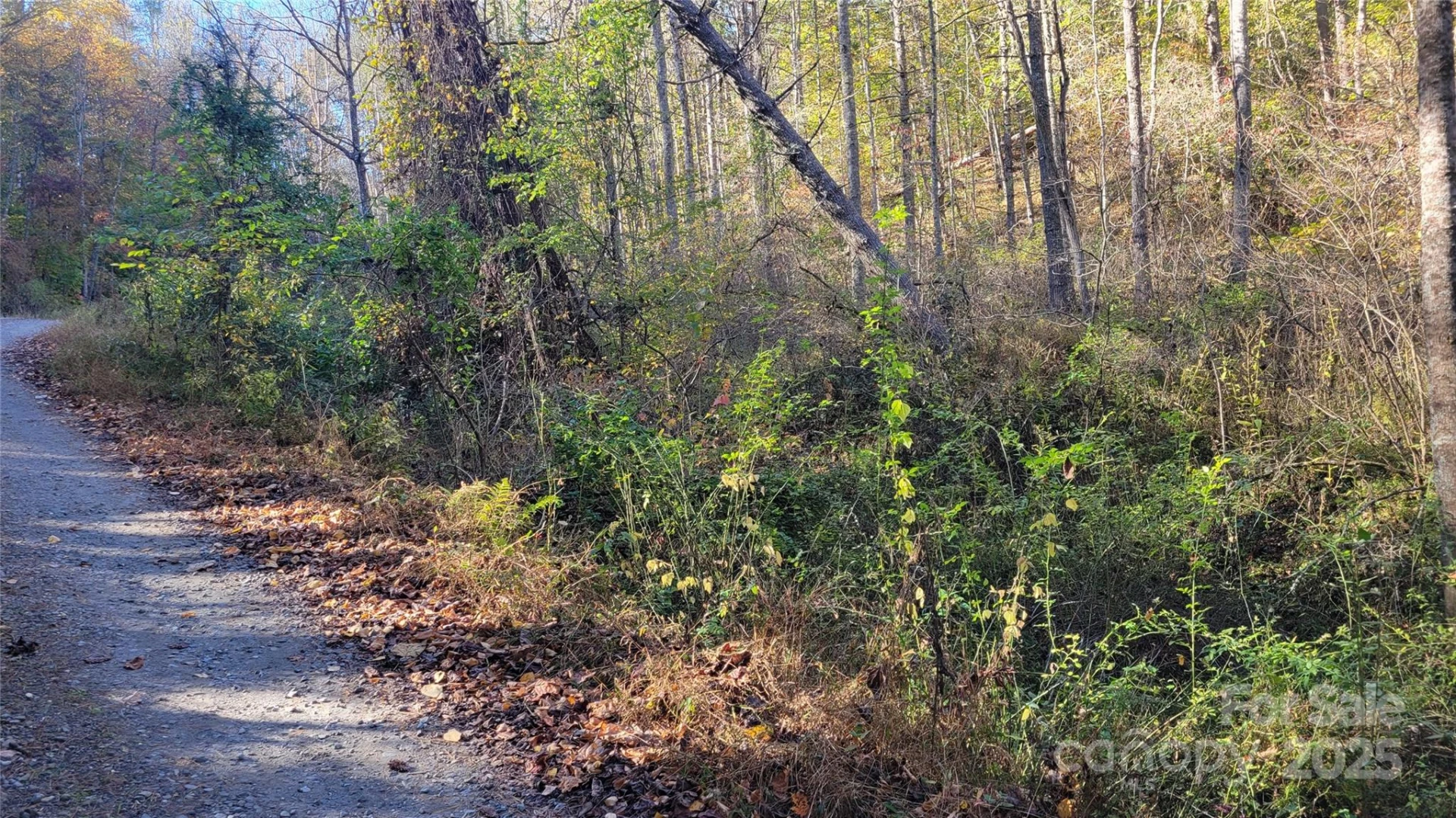 000 Cabin Hill Road - Photo 10