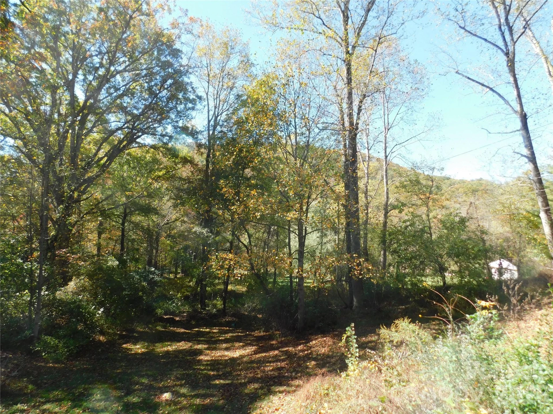 88 Poplar Drive - Photo 16