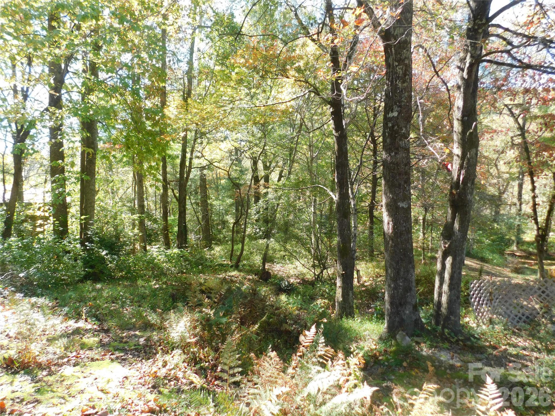 88 Poplar Drive - Photo 17