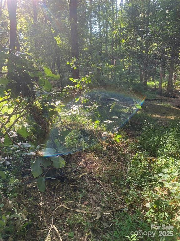 442 Settings Boulevard #248 - Photo 3