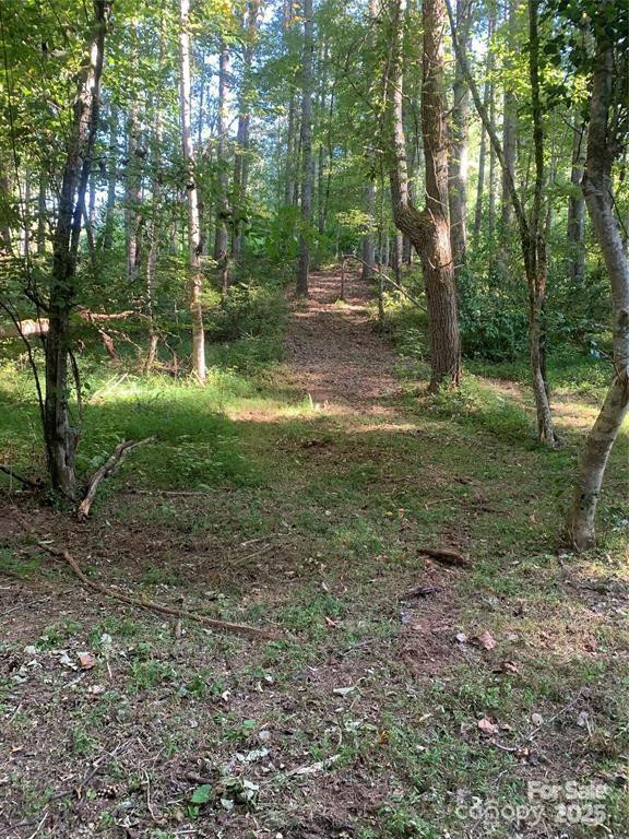 442 Settings Boulevard #248 - Photo 4