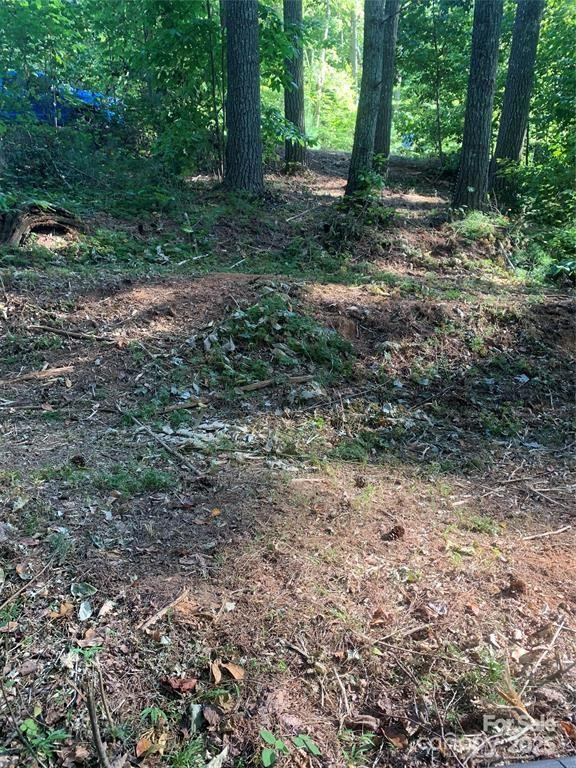 442 Settings Boulevard #248 - Photo 5