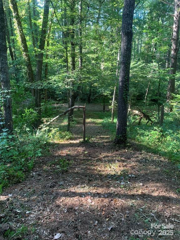 442 Settings Boulevard #248 - Photo 6