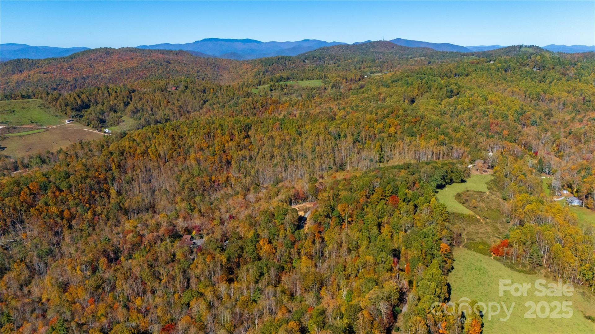 000 Sassafras Drive - Photo 2