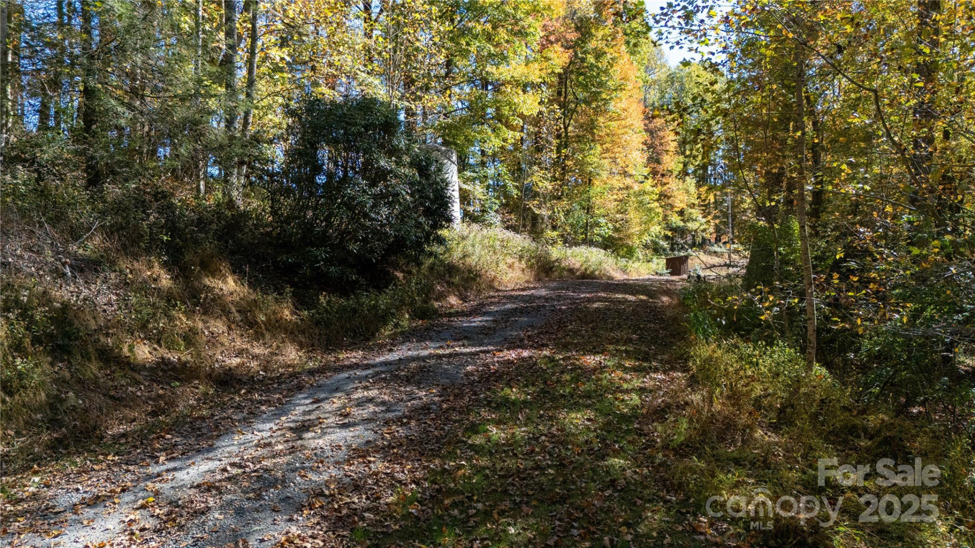 000 Sassafras Drive - Photo 4