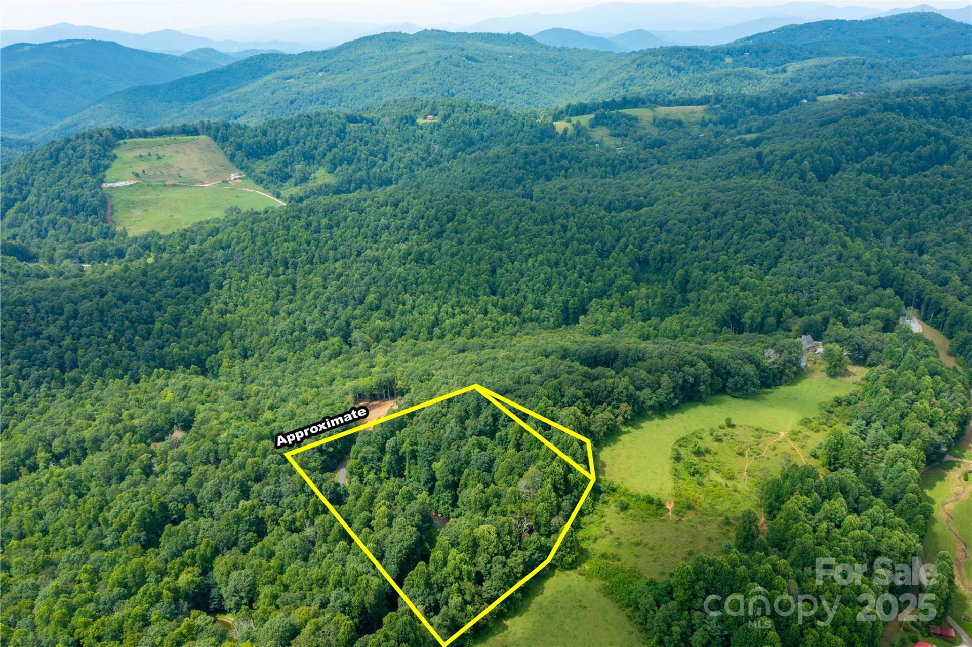 000 Sassafras Drive - Photo 5