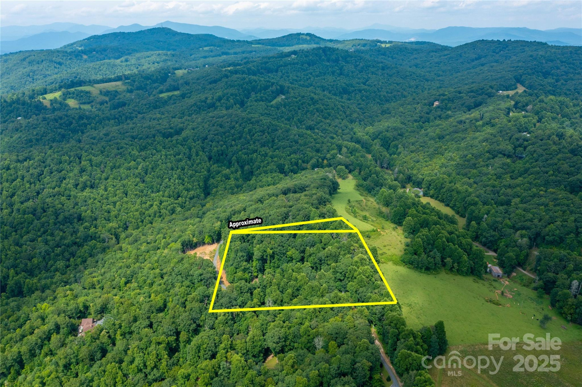 000 Sassafras Drive - Photo 6